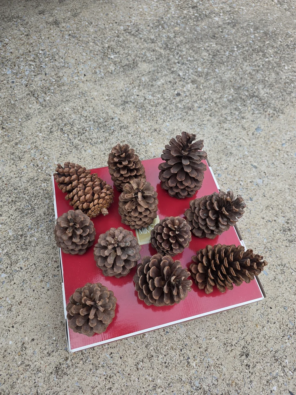Set Of 11 Natural Brown Pine Cone Decorative Accents - Home Accents